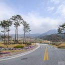 장수목장 이미지