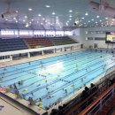 제주종합경기장 실내수영장 이미지