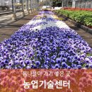 진해기술지원과(진해농업기술센터) 이미지