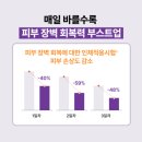 바이오더마 시카비오 리페어 선크림 💜 수부지 민감성도 만족한 확신의 시카썬 후기