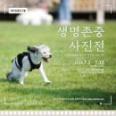 The행복한동물병원 이미지