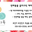 수피아독 이미지