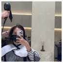 배가헤어 이미지