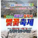 광양 매화축제&amp;동학사 벚꽃축제 공지 이미지