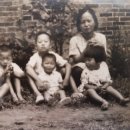 남산공원 시민회관 이미지