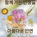 천년송님 (요)이어서 이미지