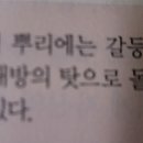 인사이팅