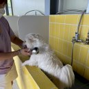 그늘막117 이미지