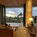 [올챙이 하와이 마우이] Andaz Maui at Wailea Resort, By Hyatt 안다즈 마우이 후기