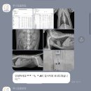 루나동물병원 이미지