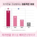 베리코 이미지