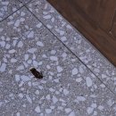 하나방역북부산지점