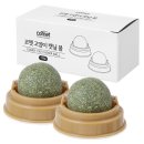 달냥이 | 우리 집 냥이 최애템! 코멧 고양이 캣닢 볼 한 달 사용 후기 (feat. 냥이 반응)