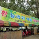 무릉유원지 이미지