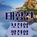 가요여행사 이미지