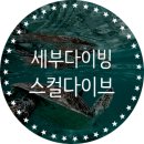 세부 다이빙 추천 스컬다이브 은근 재밌네