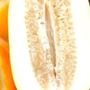 하이수미