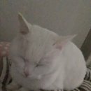 윈치과병원 이미지