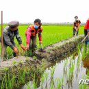 구만농장 이미지