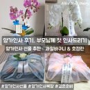 양가인사 후기 ! 부모님 첫인사 선물 추천 호접란 과일바구니 양가인사 복장