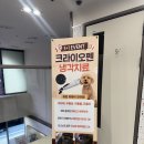 삼정동물병원 이미지