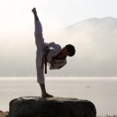 호동태권도 이미지