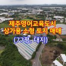 제주영어교육도시 상가용 소형 토지(77평, 대지) 매매 _ 서귀포시 대정읍 구억리 토지