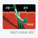 동탄다정약국 이미지