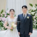 결혼 본식스냅 정지용사진 비용 솔직후기