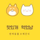 맛있개 먹었냥 이미지