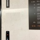 고메팔레스 이미지