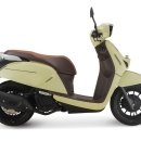 욜로모터스 이미지