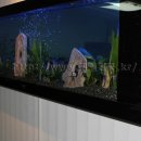 계성메탈 이미지