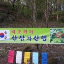 산삼과산행 10주년 찬조 천연진주 팔찌 이미지