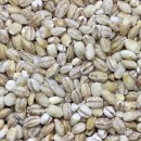 쌀과보리 이미지