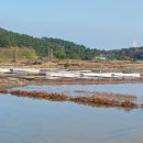 벌천포 해수욕장 이미지