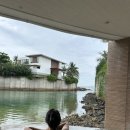 행복한깜시 이미지