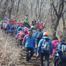 봉삼초등학교 이미지