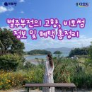 새남민박 | 별주부전의 고향, 비토썸 생활관광 정보 및 혜택 총정리