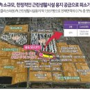 시티에스