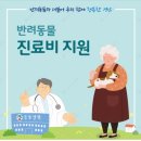 해담은동물병원