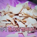 코리아헌터 끌소나무와 경옥고원료 복령찾기 이미지