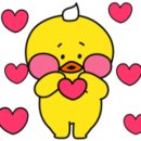 육일공구 이미지