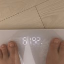 차정2 | [체리정 2주차 후기] 빠졌던 살이 다시 찐 이유는? 리얼 복용 일지 공개 🍒