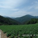 가덕골농원 이미지