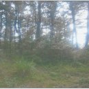 포항시남구61 이미지