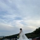 [웨딩 준비] 성남 토탈샵 탱자 스튜디오 웨딩 촬영 후기 (+준비물, 드레스 등)