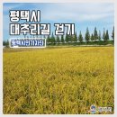 평택섶길추진위원회 이미지