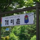 슬기로운게장 이미지