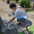 복돌네민박 이미지